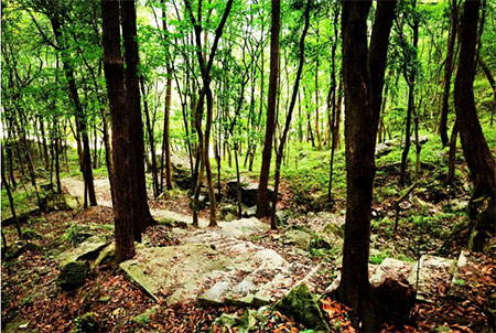 文仙山白石寺游记